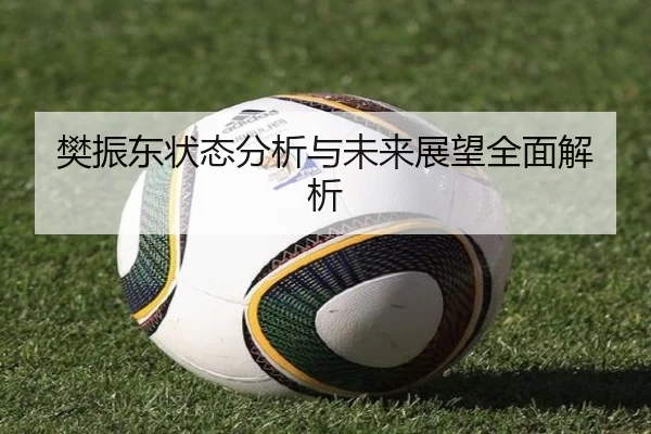 樊振东状态分析与未来展望全面解析